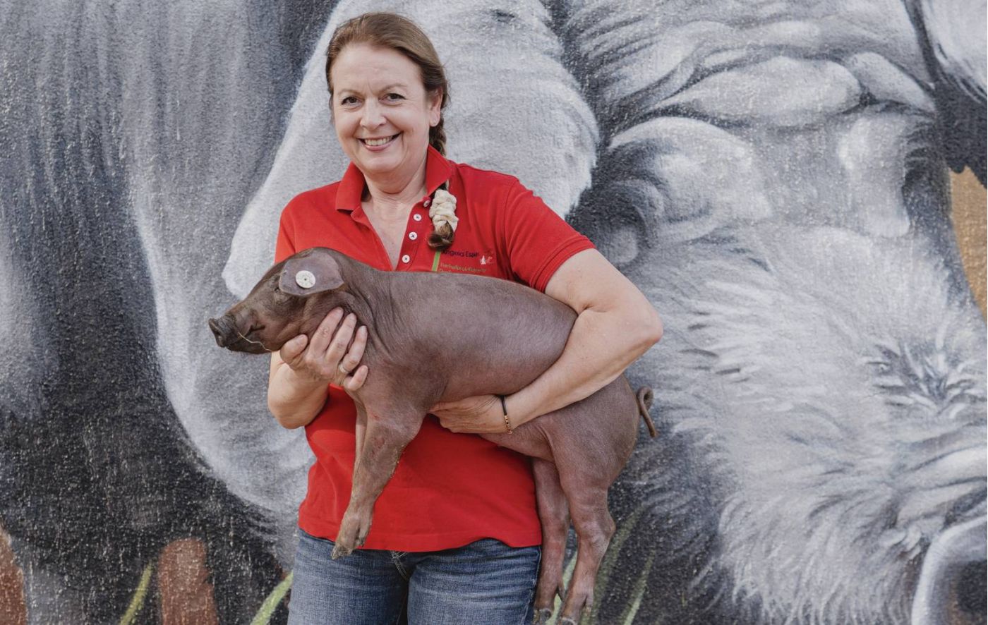 Schweine Homöopathie Anleitung - Angela Esser 2