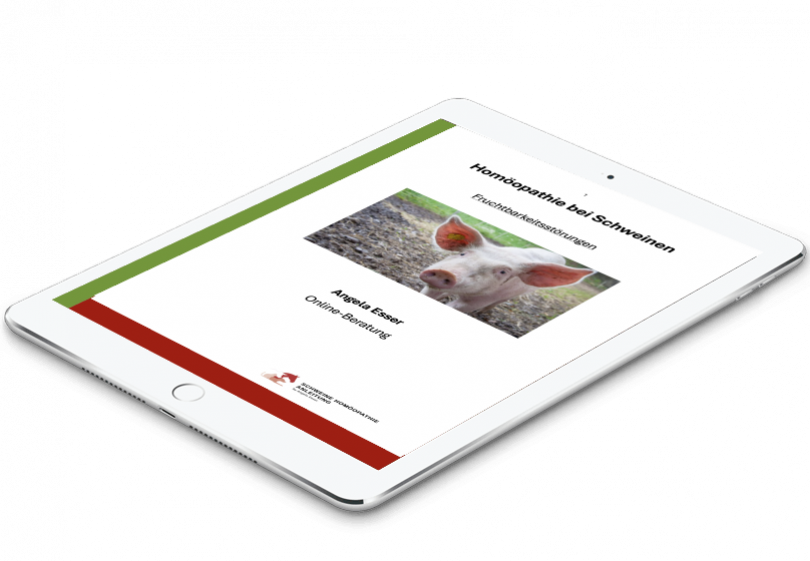 Tablet mit Schweine Homöopathie Anleitungen als PDF
