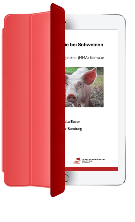Schweine Homöopathie Anleitung online kaufen