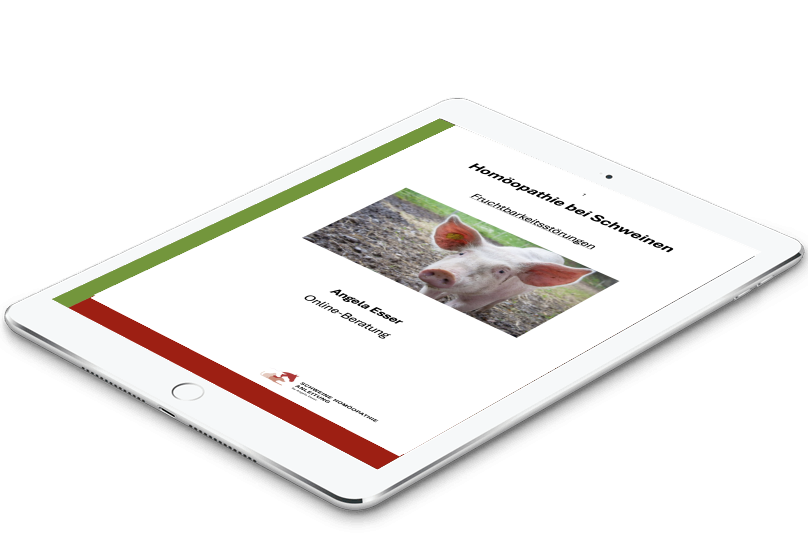 Tablet mit Schweine Homöopathie Anleitungen als PDF