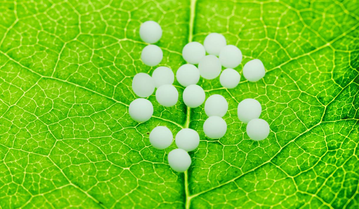 Was versteht man unter einem Konstitutionsmittel?